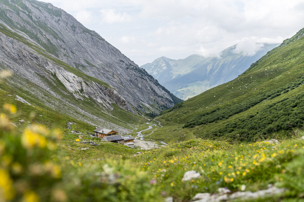 La Tsissette Combe de lÂ