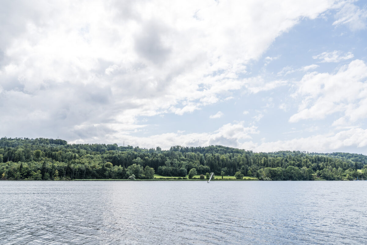 Naturufer Greifensee