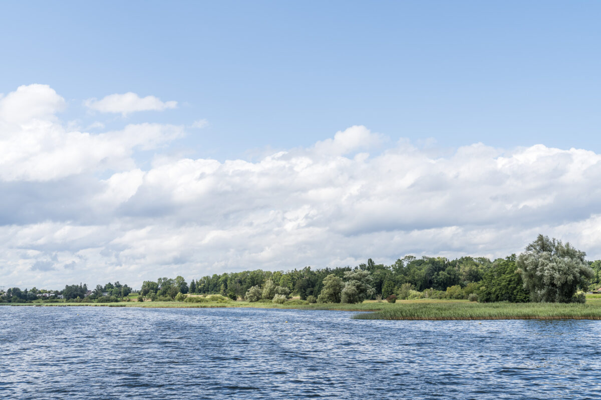 Ufer Greifensee