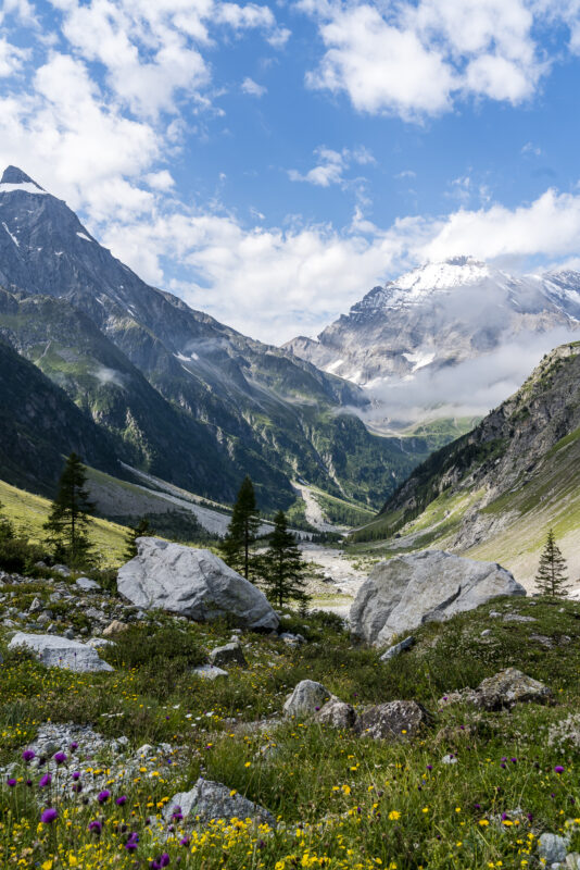 Panorama Kanderfirn