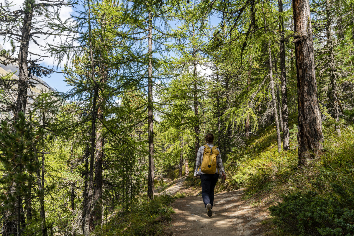 Zermatt Wanderung Winkelmatte