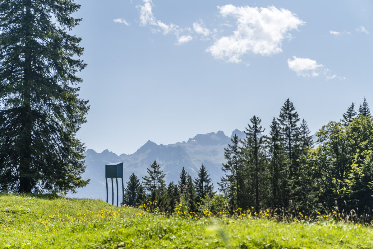 Alpine Art Muttersberg Bludenz