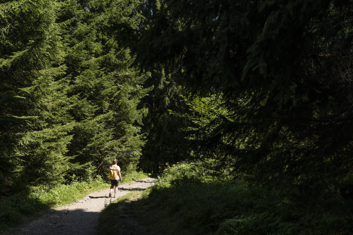 Bludenz Muttersberg Wandern