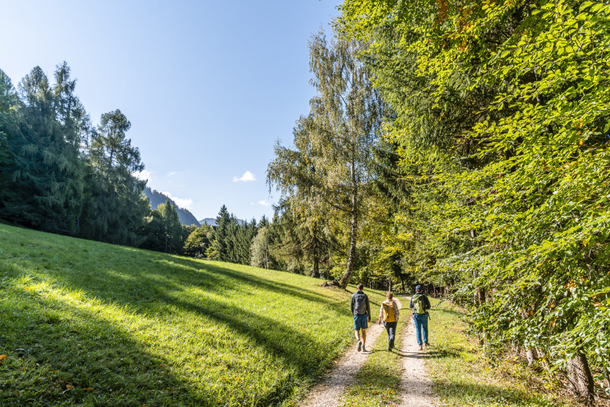 Wanderung auf die Cislon Alm