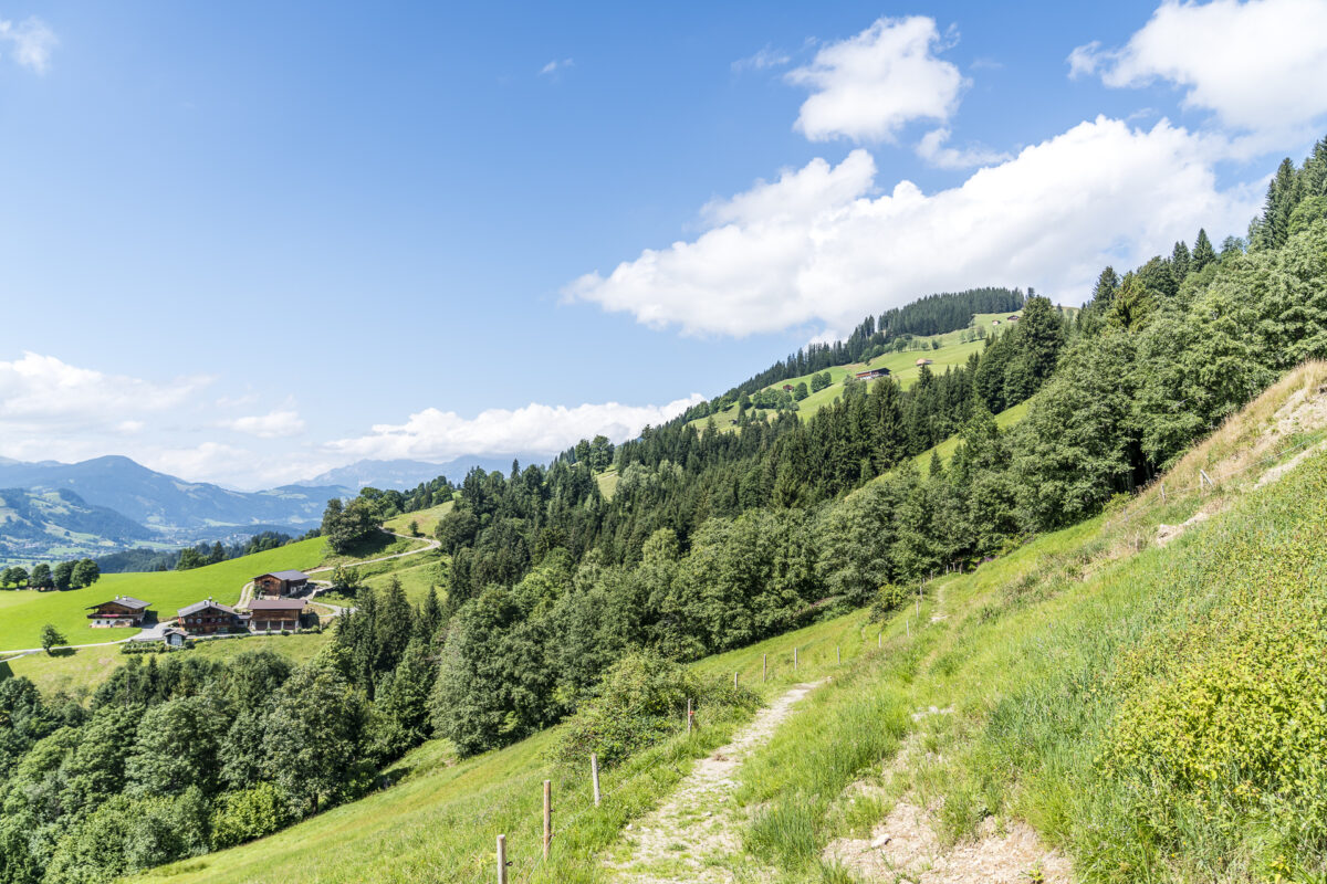 Wildpark Aurach Wandern