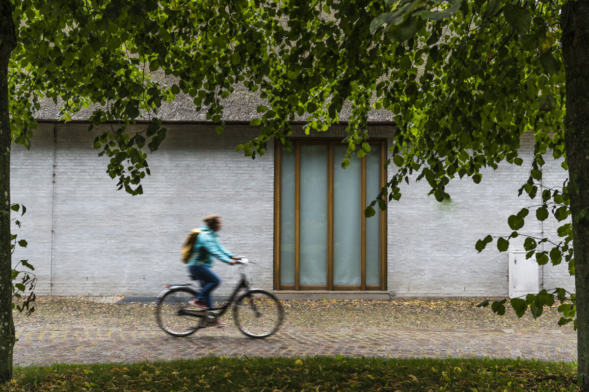 Föhr Fahrrad