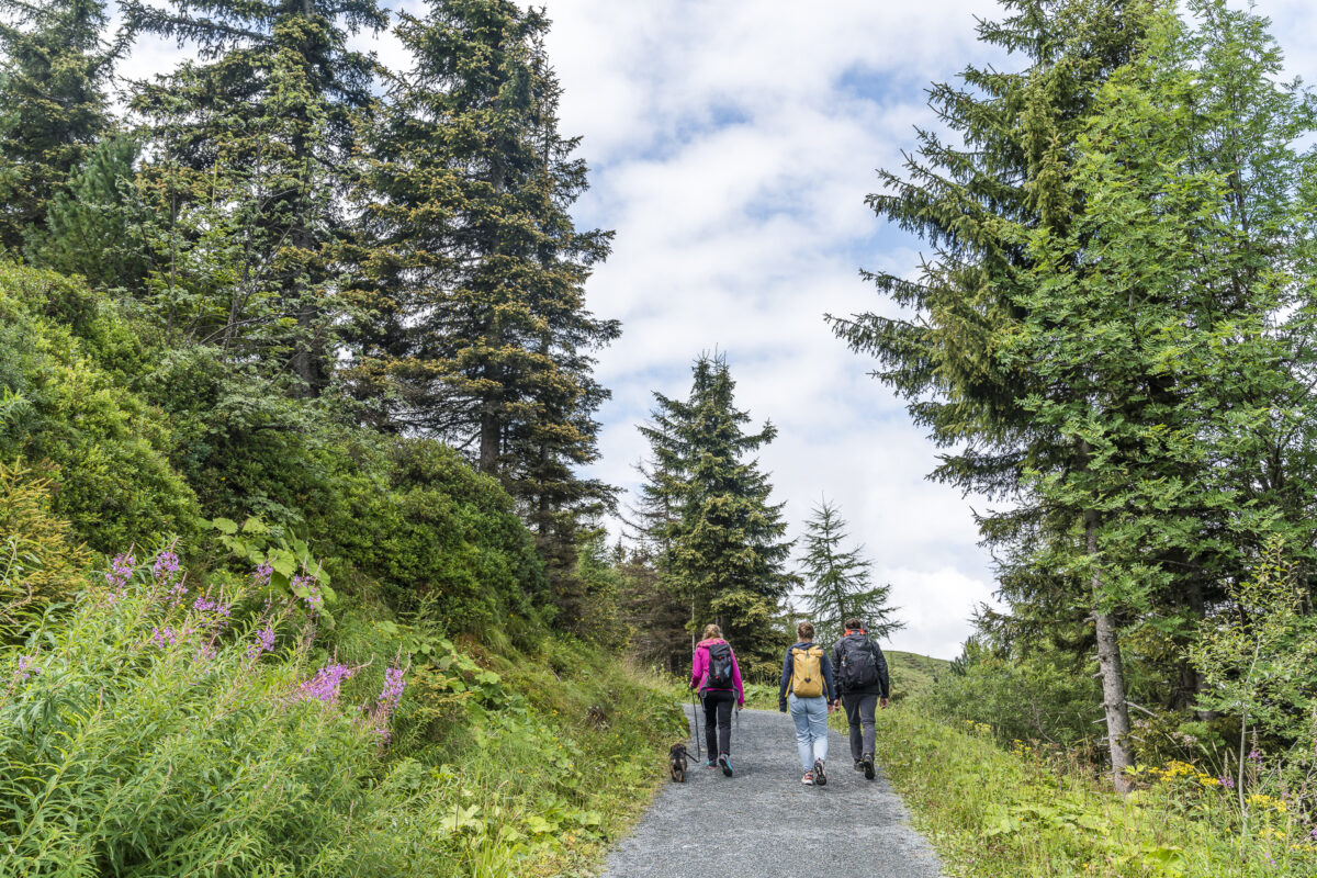 Panoramarundweg Hahnenkamm