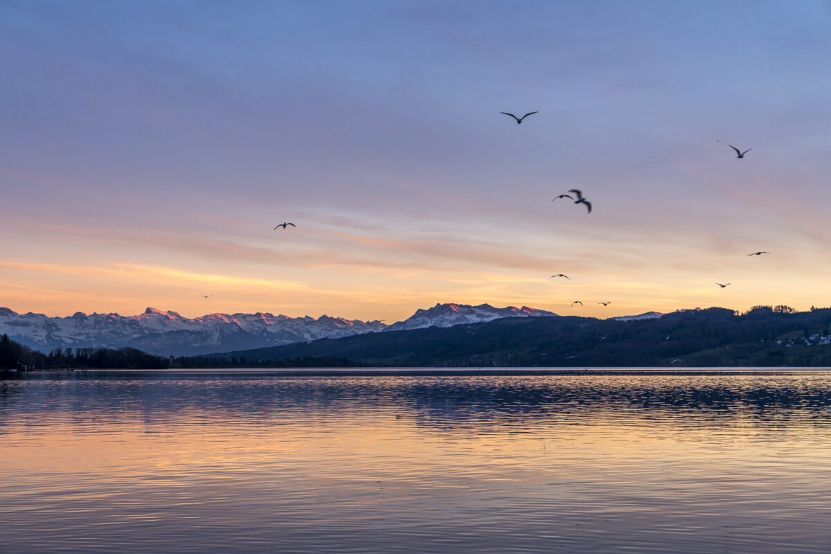 Hallwilersee Abendstimmung