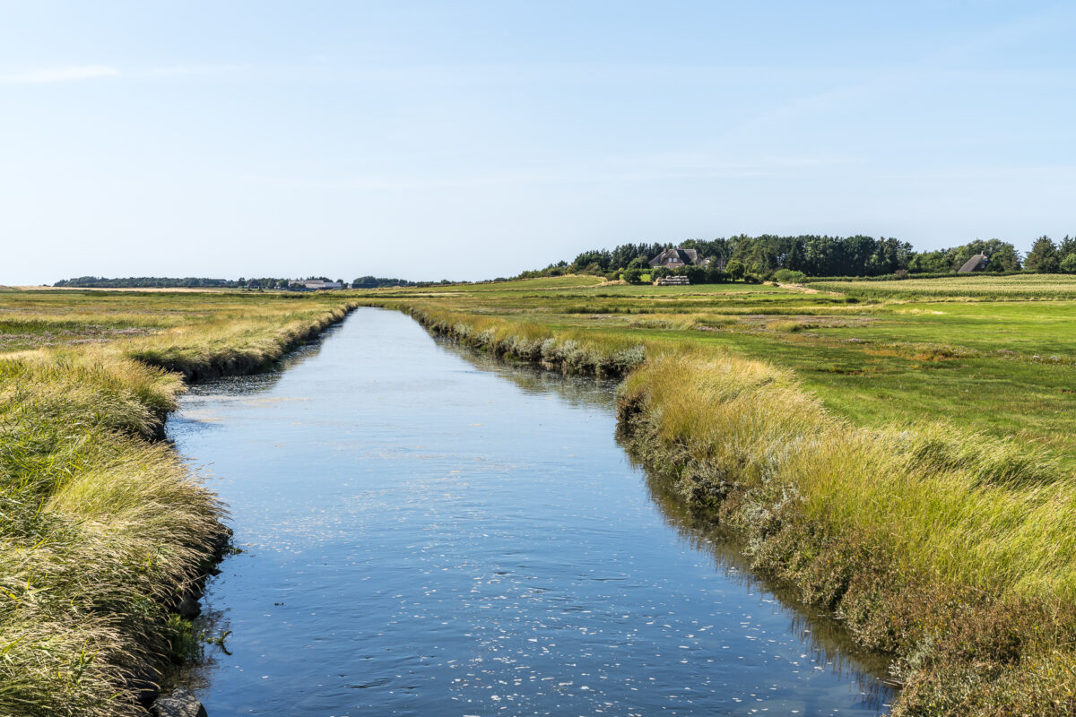 Föhr Fluss