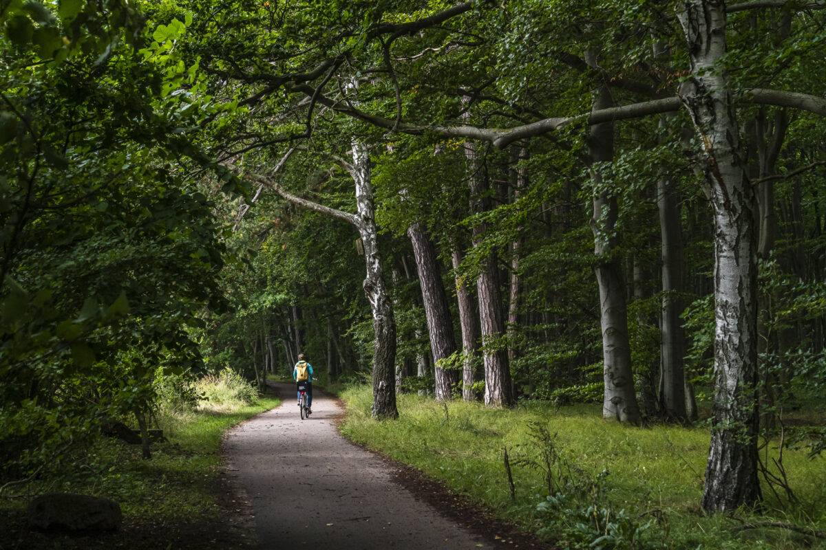 Radweg Ostsee