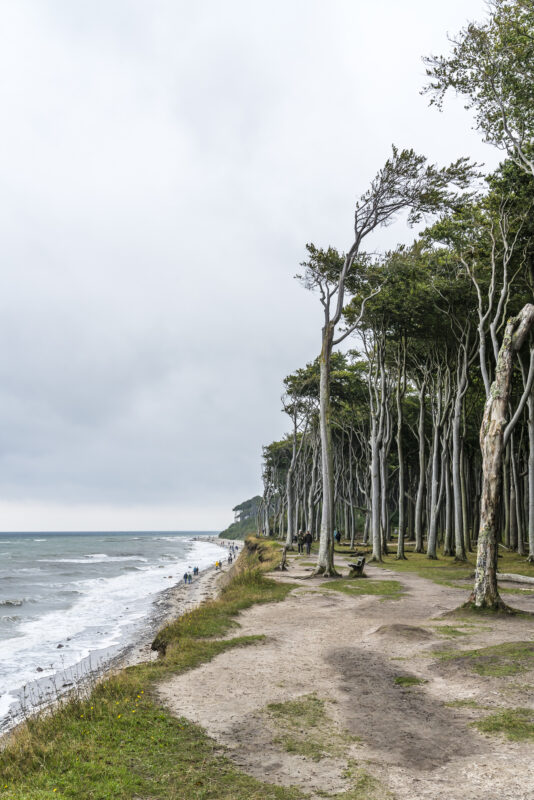 Gespengsterwald Nienhagen