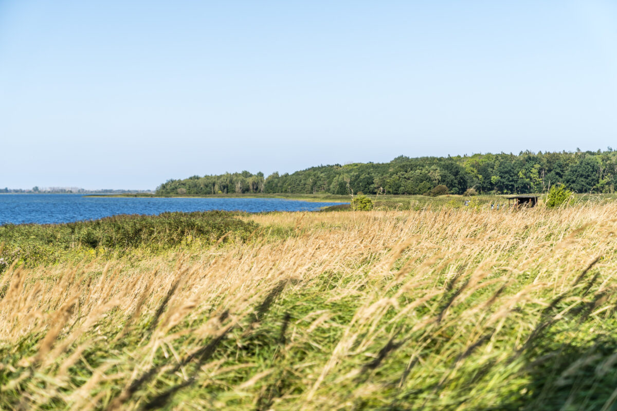 Küste Ostsee