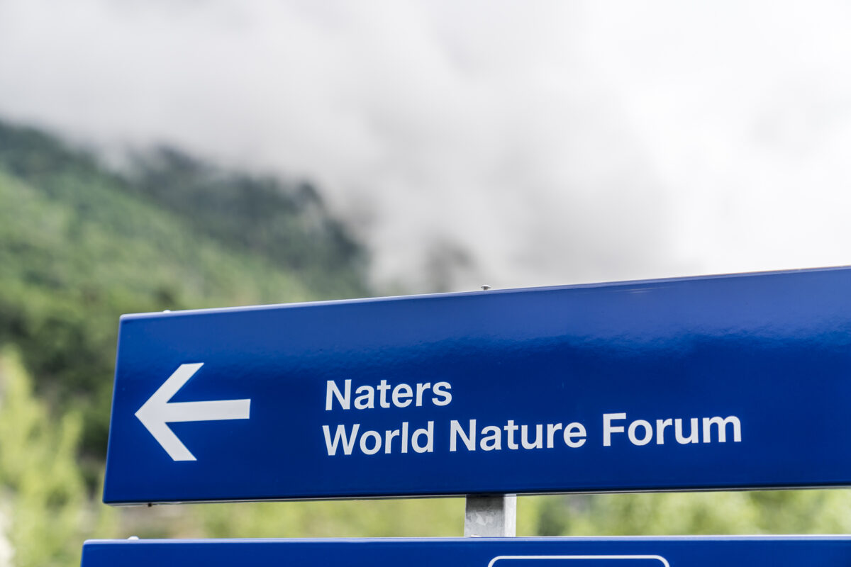 anreise world nature forum