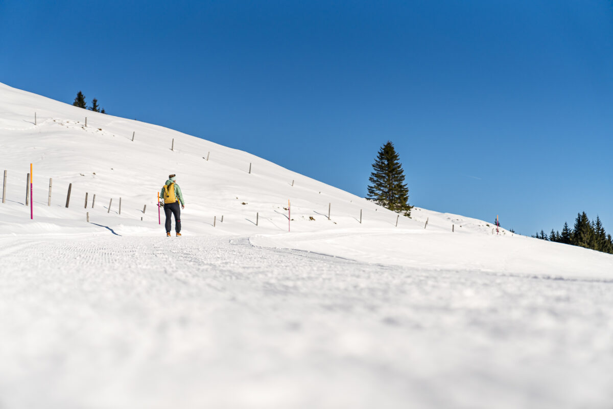 Klewenalp Winterwandern