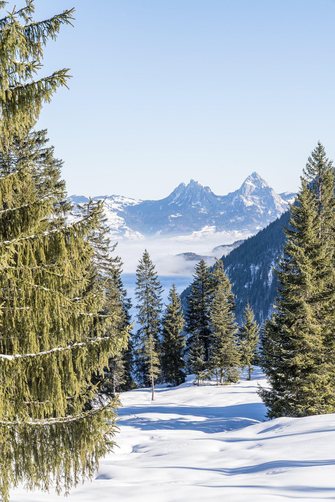 Stockhütte Mythenblick