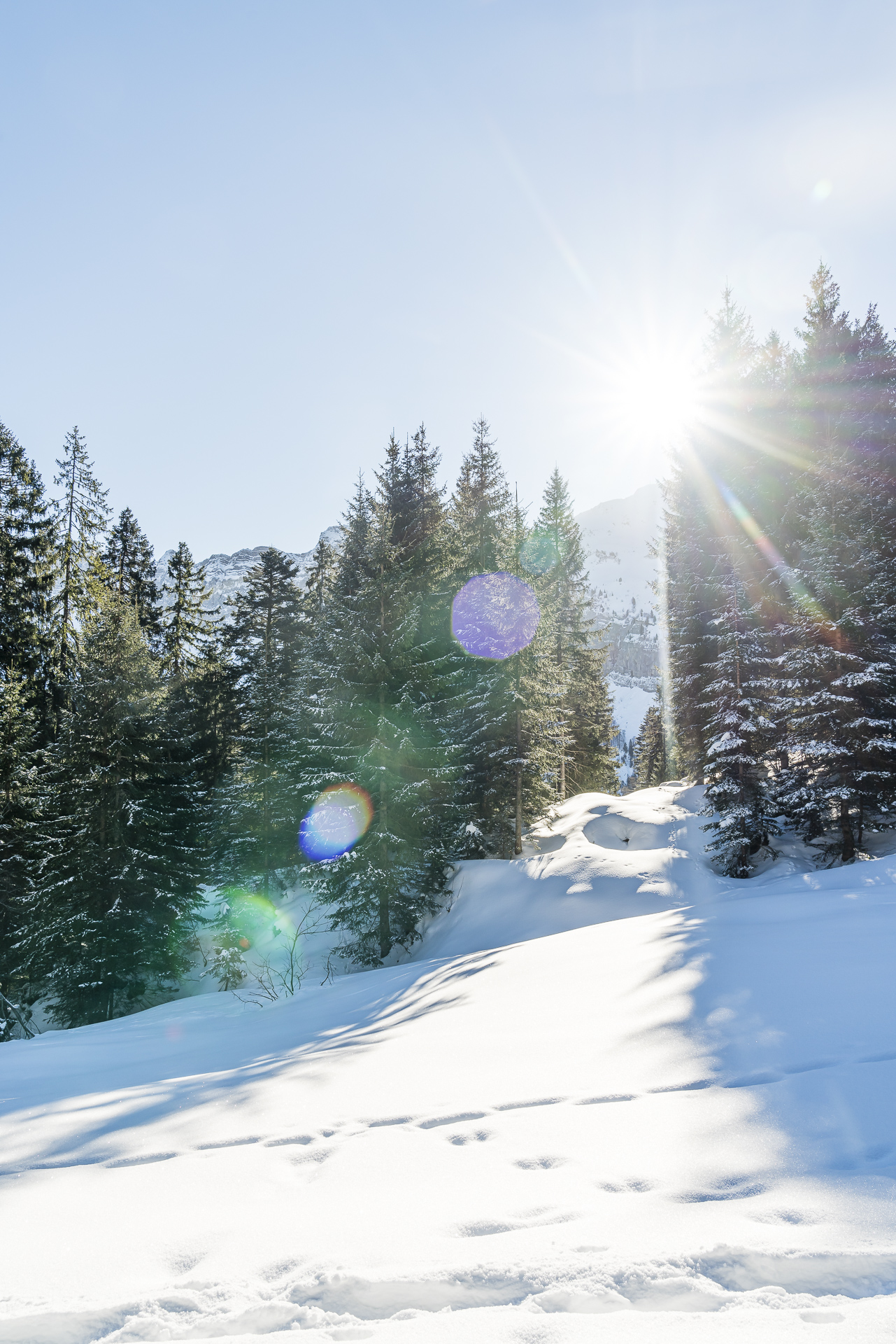 Winterwanderwege Stockhütte