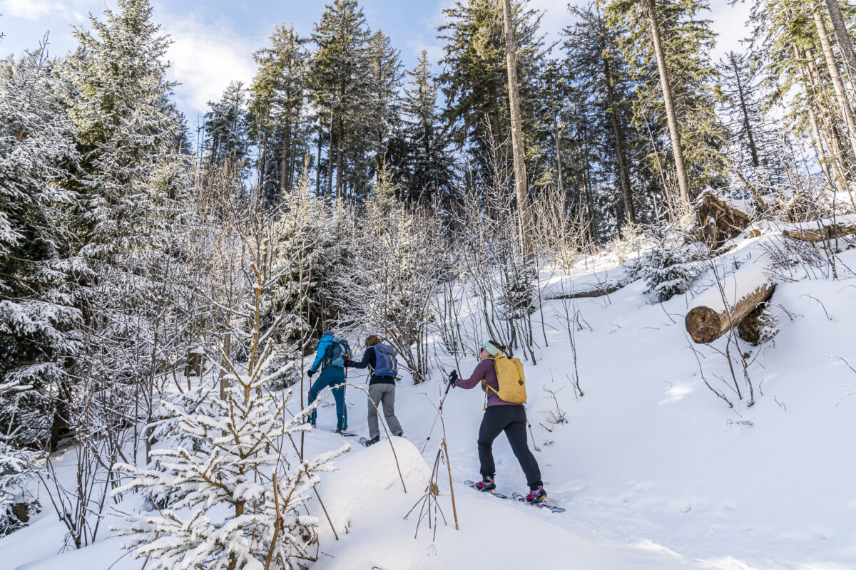 Schwarzenbühl Gurnigel Schneeschuhtrail