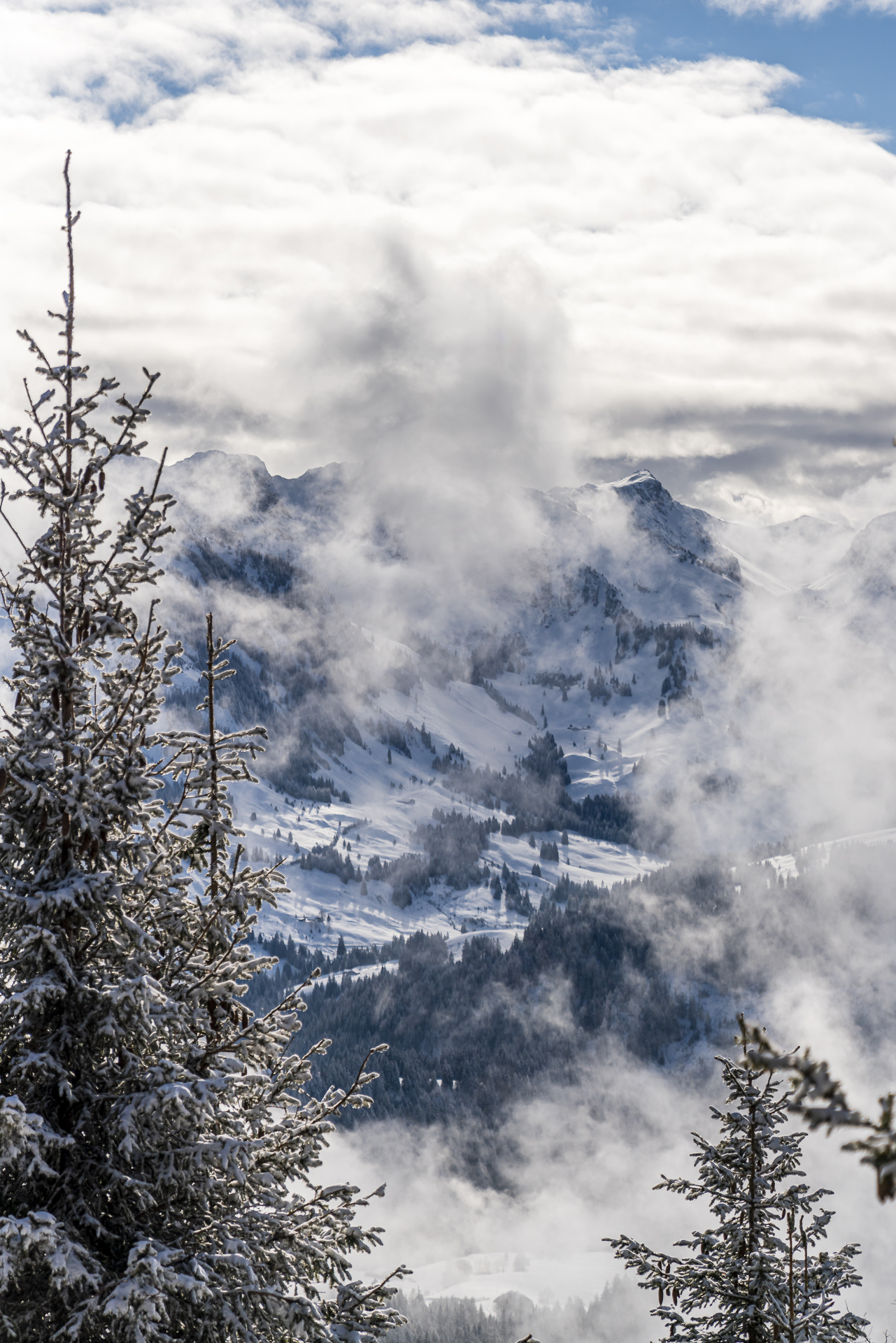 Aussicht Schwarzenbühl