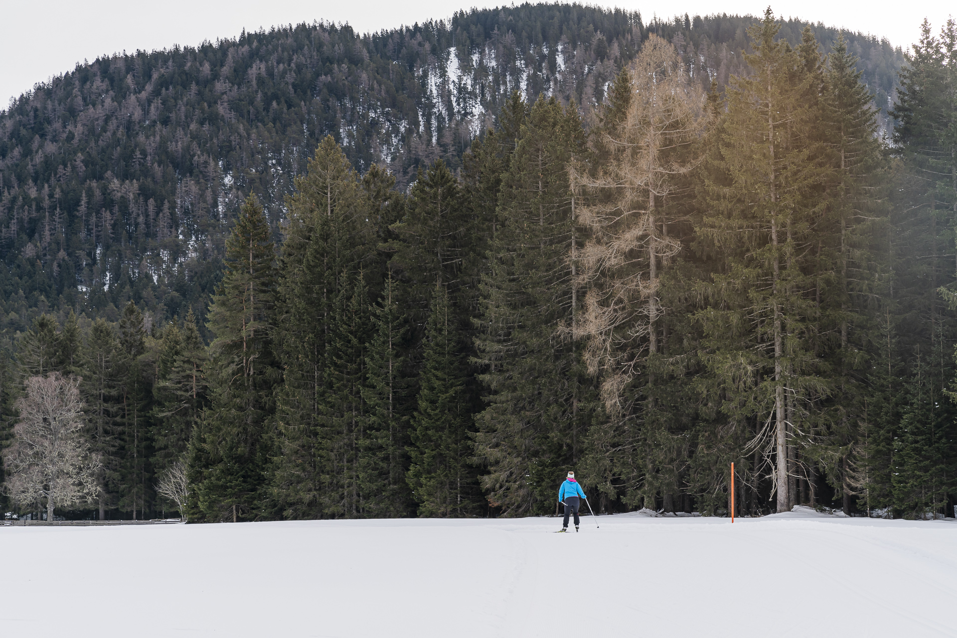 Seefeld Langlaufen