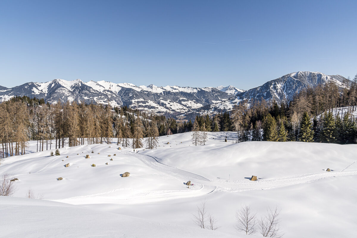 Brserberg Steinkreise