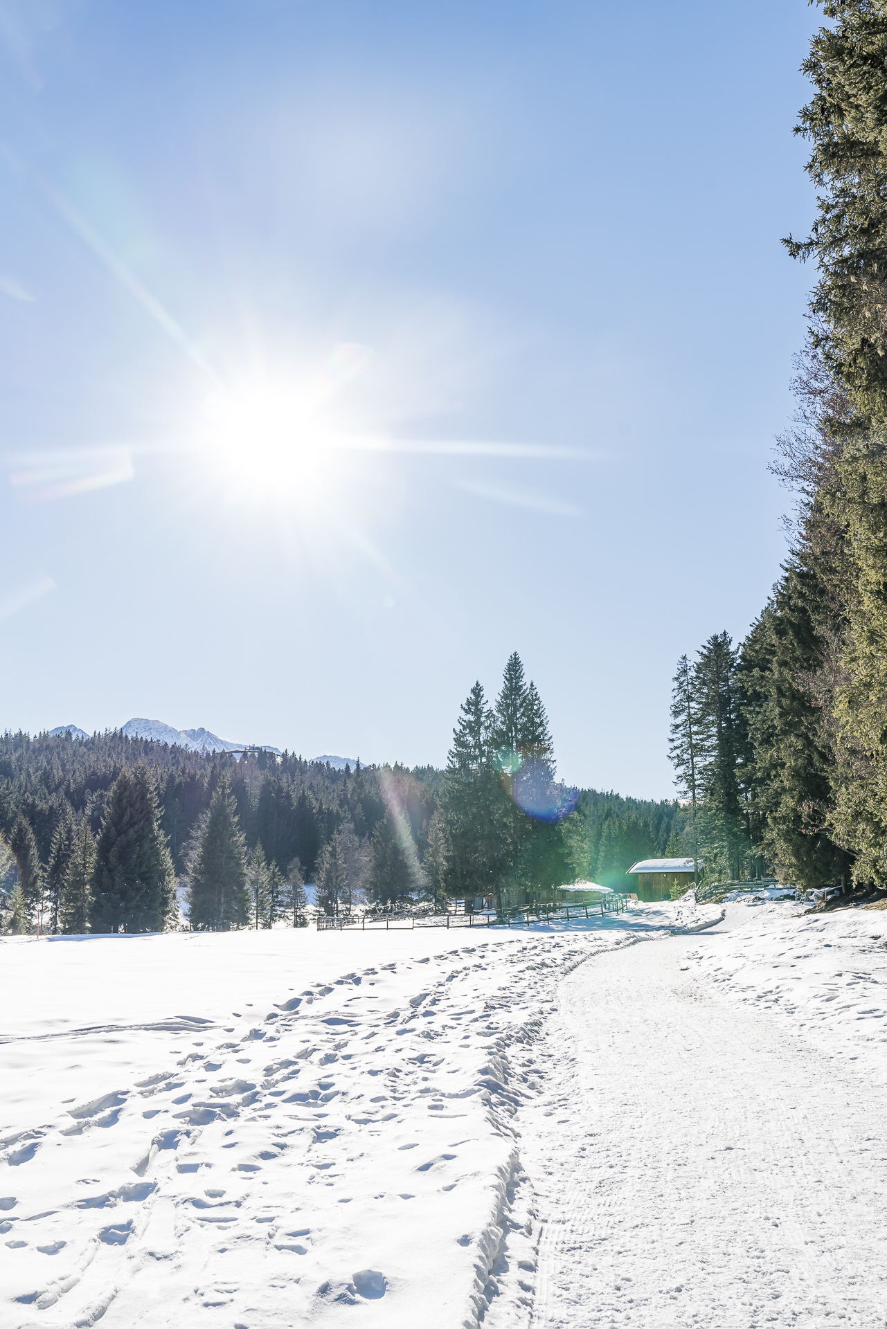 Winterwandern Seefeld