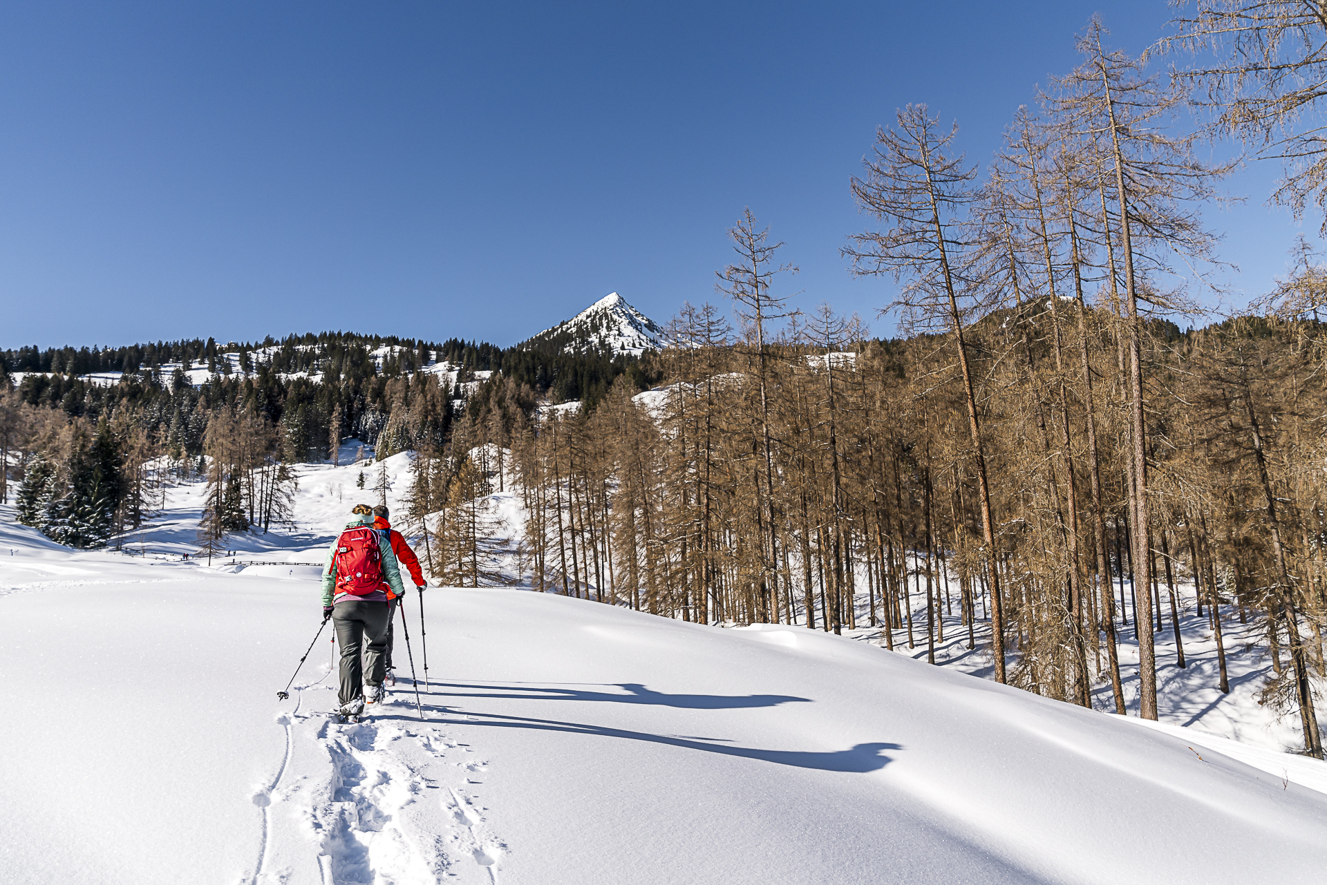 Bürserberg Winter