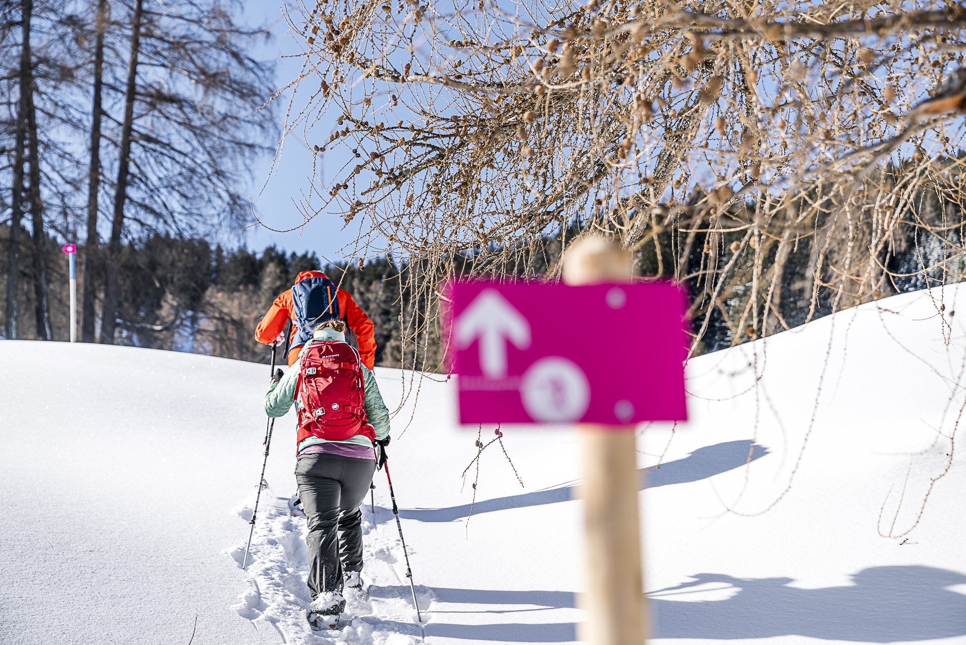 Schneeschuhtrails Brandnertal