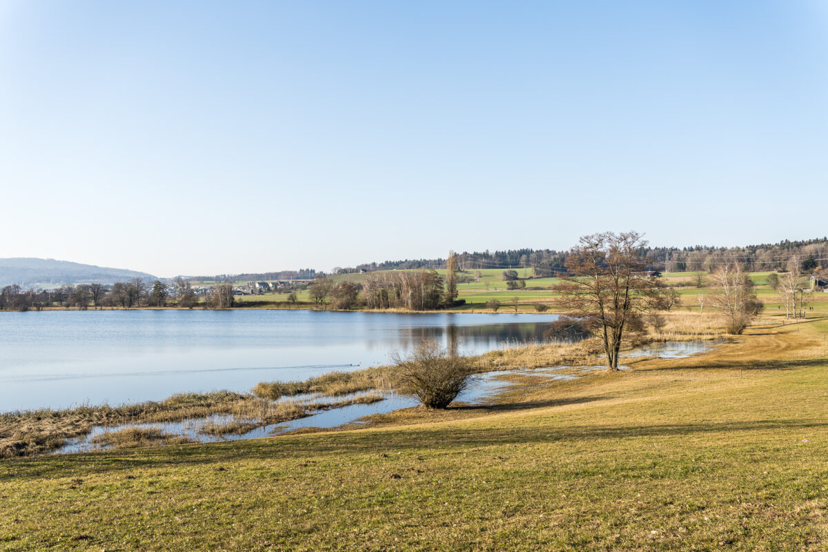 Wanderung um den Katzensee