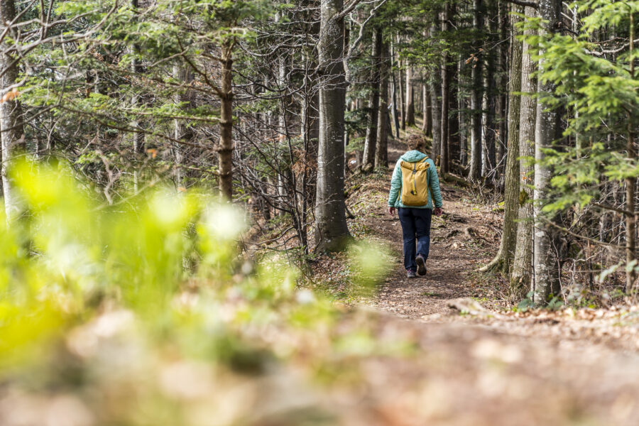 Wanderungen rund um Zürich