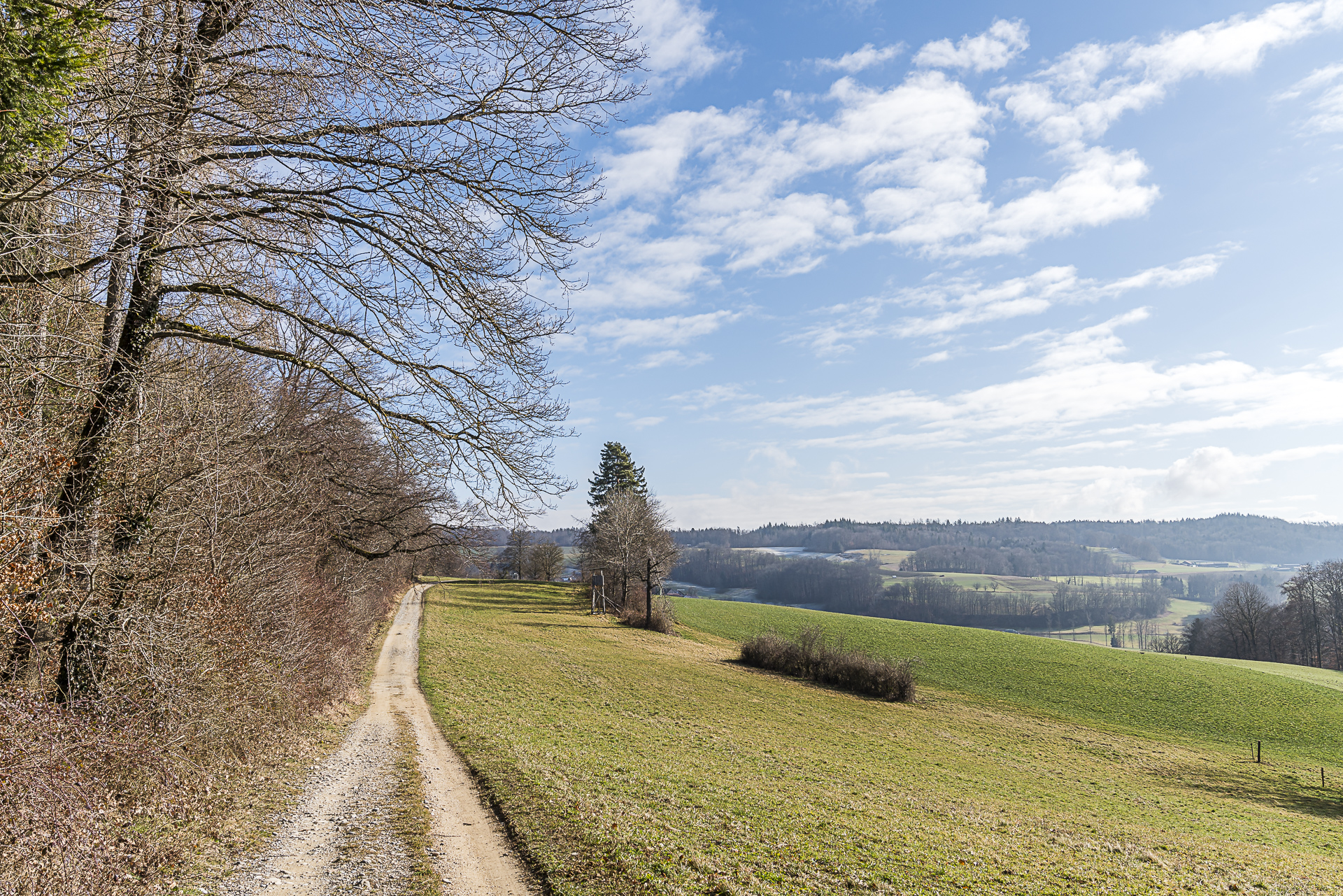 Endingen-Vogelsang Wanderung