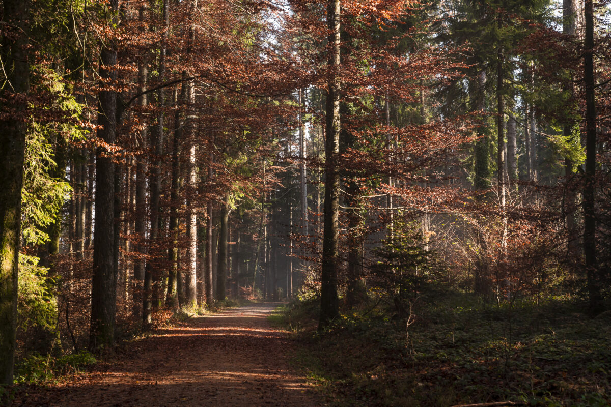 Pfannenstiel-Weg Wanderung