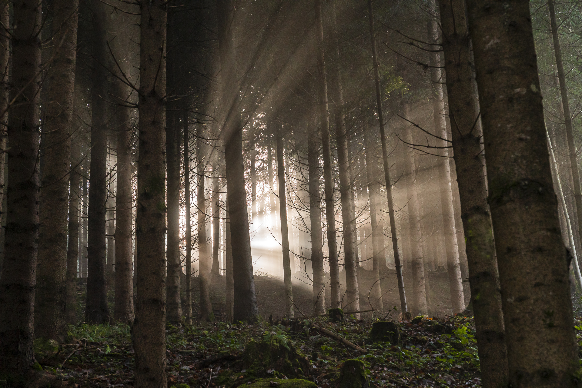 Pfannenstiel Nebel