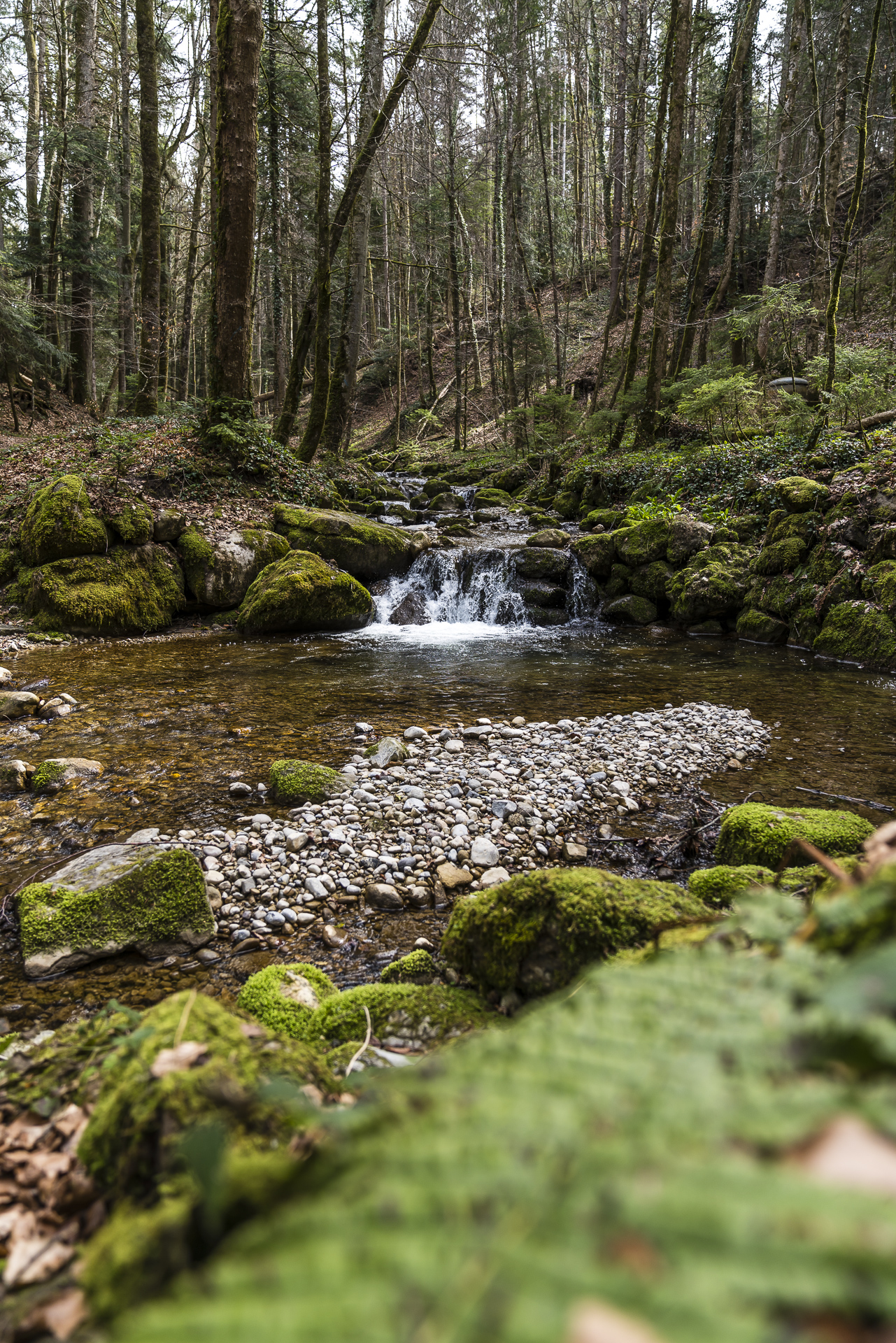 Wanderung Sagenraintobel