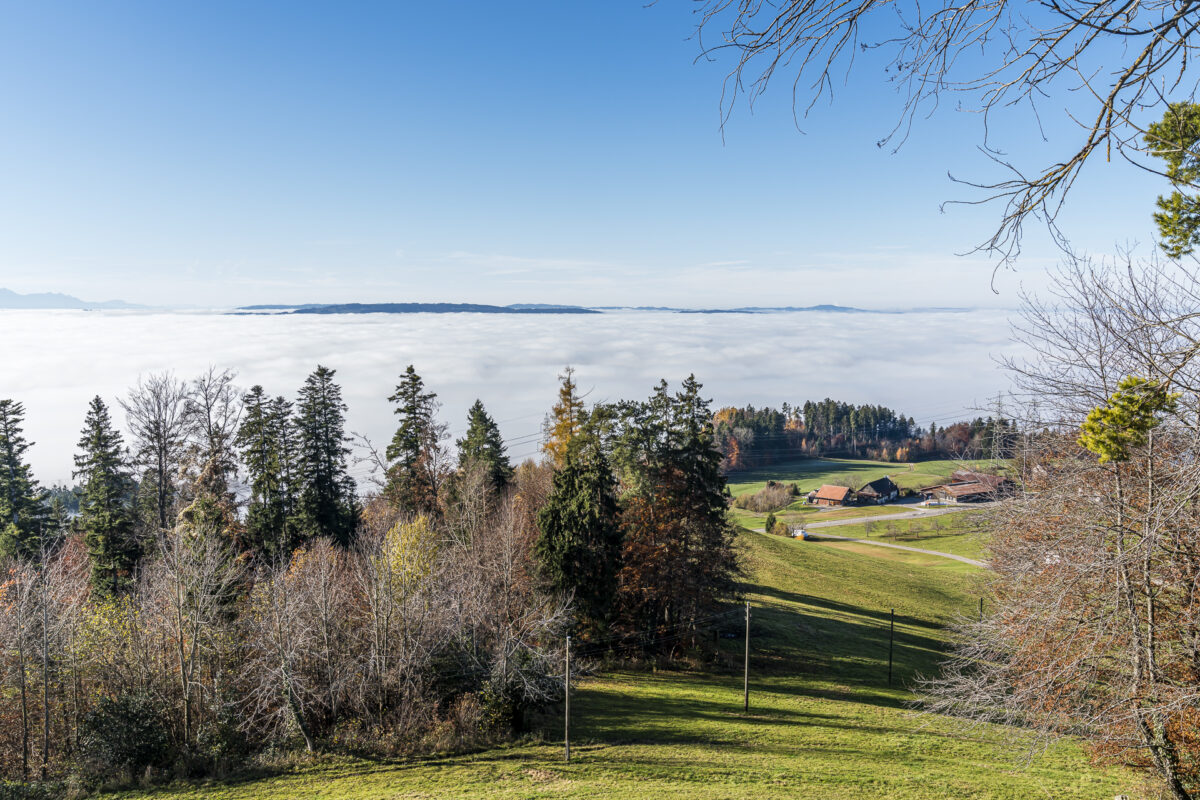 Aussicht Rosinli