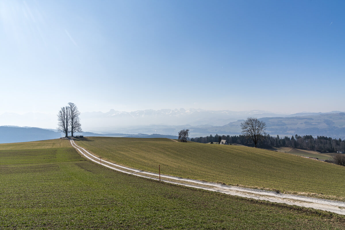 Alpenpanoramaweg nach Münsingen