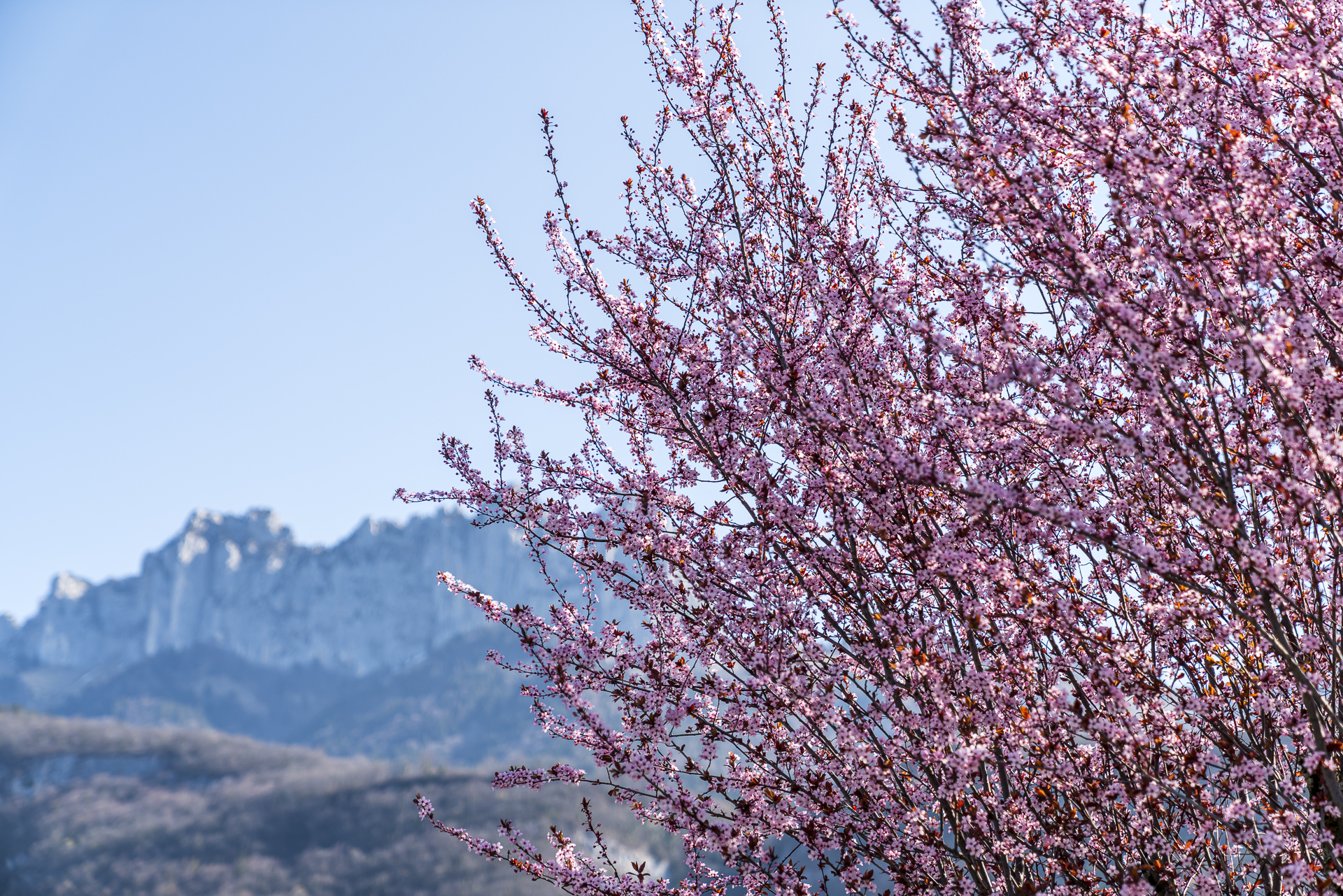 Annecy Talloires Frühling