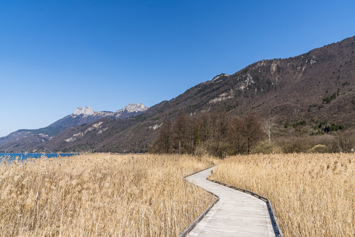 Bout du Lac d'Annecy Naturschutzgebiet