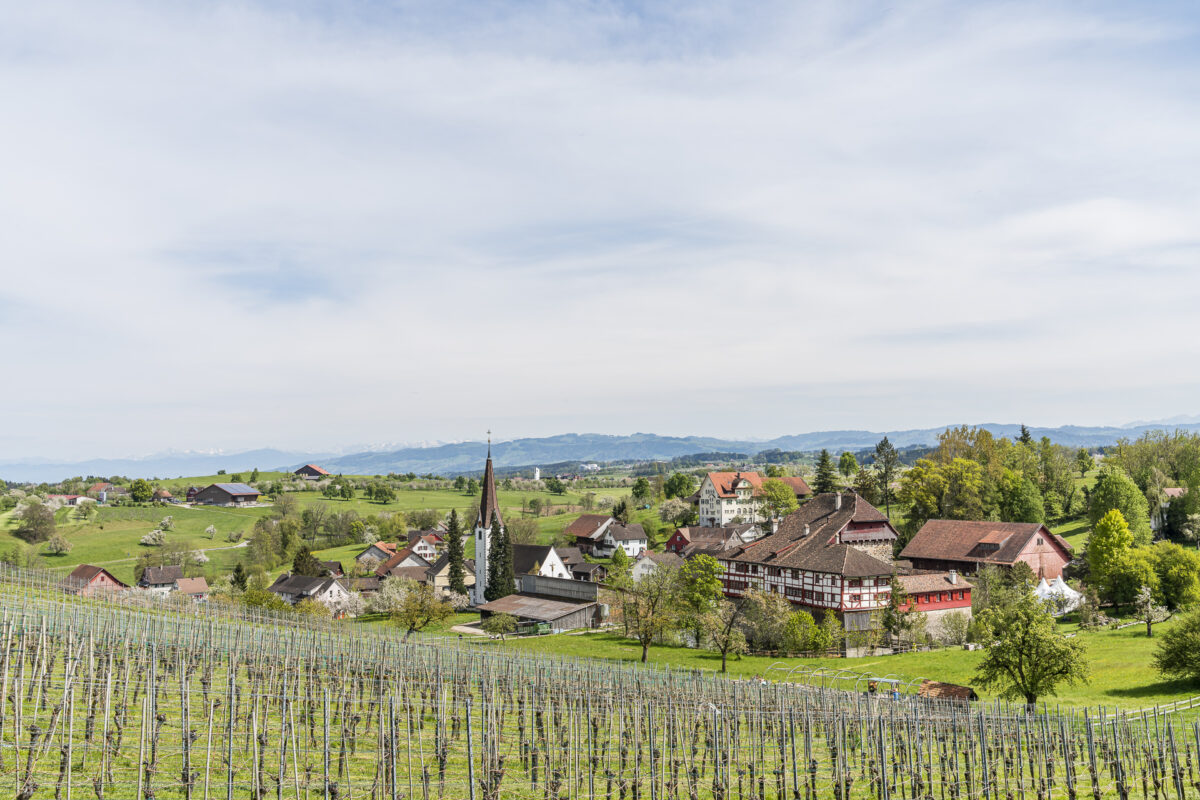 Moated Castle Hagenwil