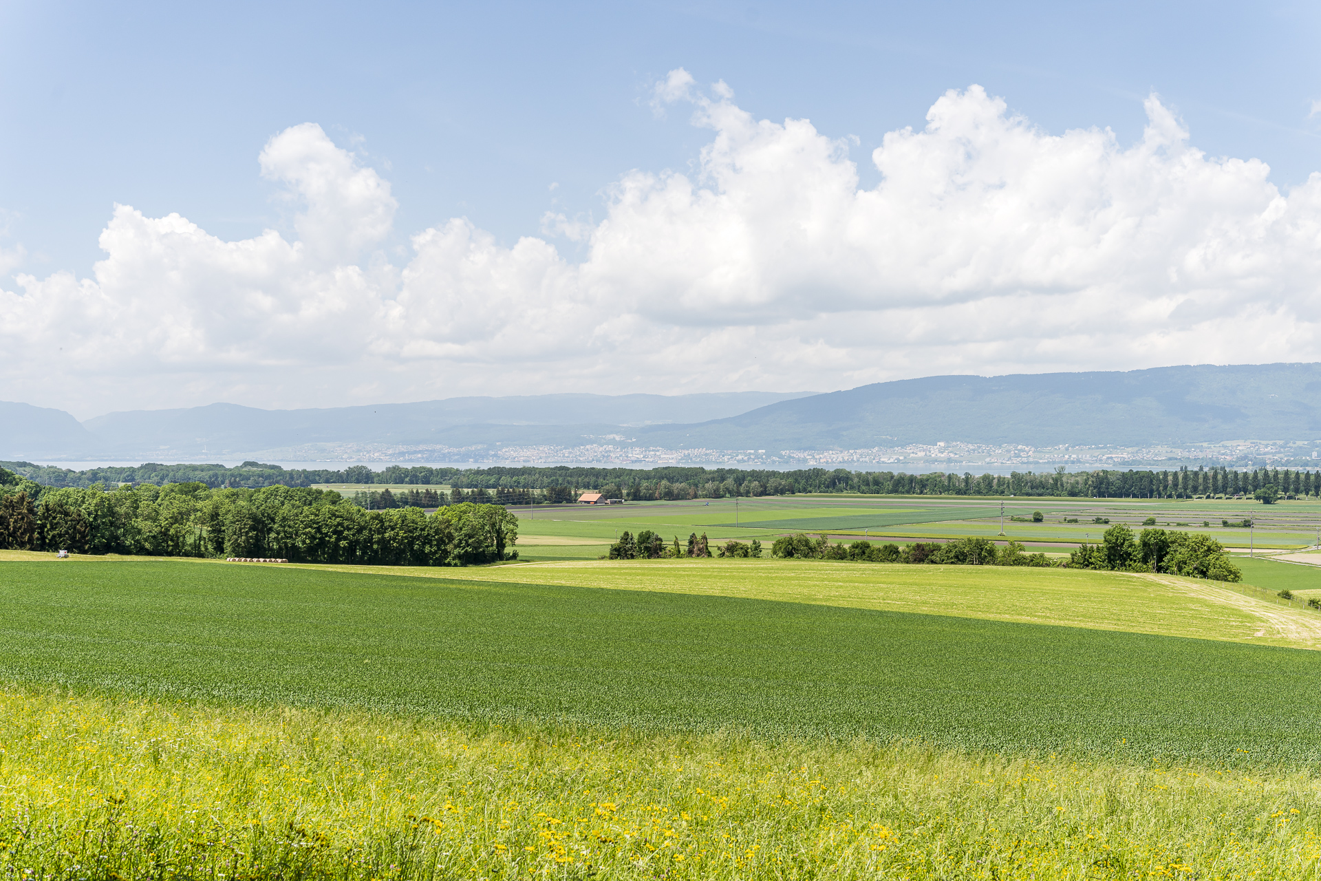 Aussicht Mont Vully Neuenburgersee