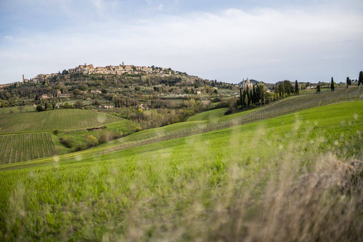 Montepulciano