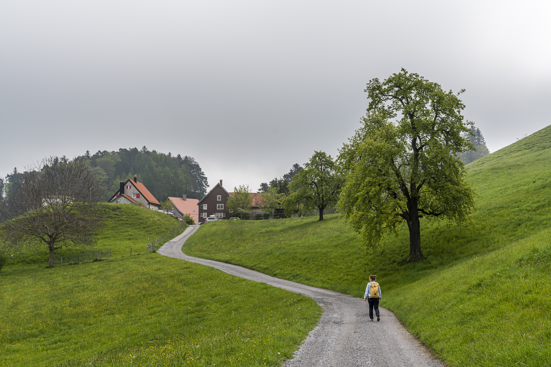 Heiden Walzhausen Wandern