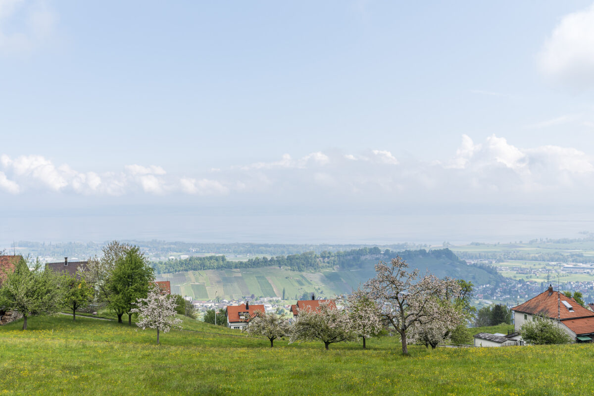 Aussicht Heiden