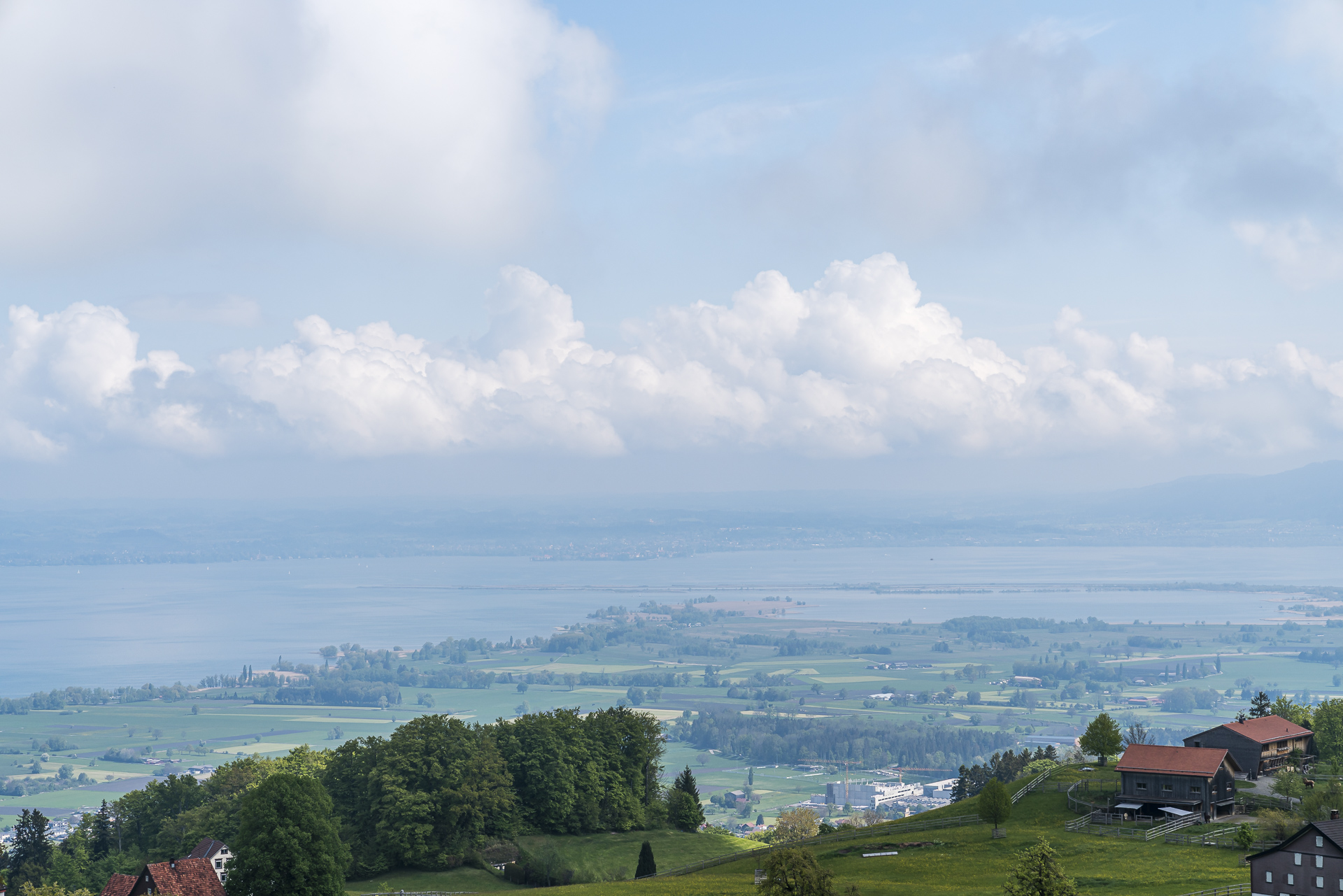 Aussicht auf den Bodensee