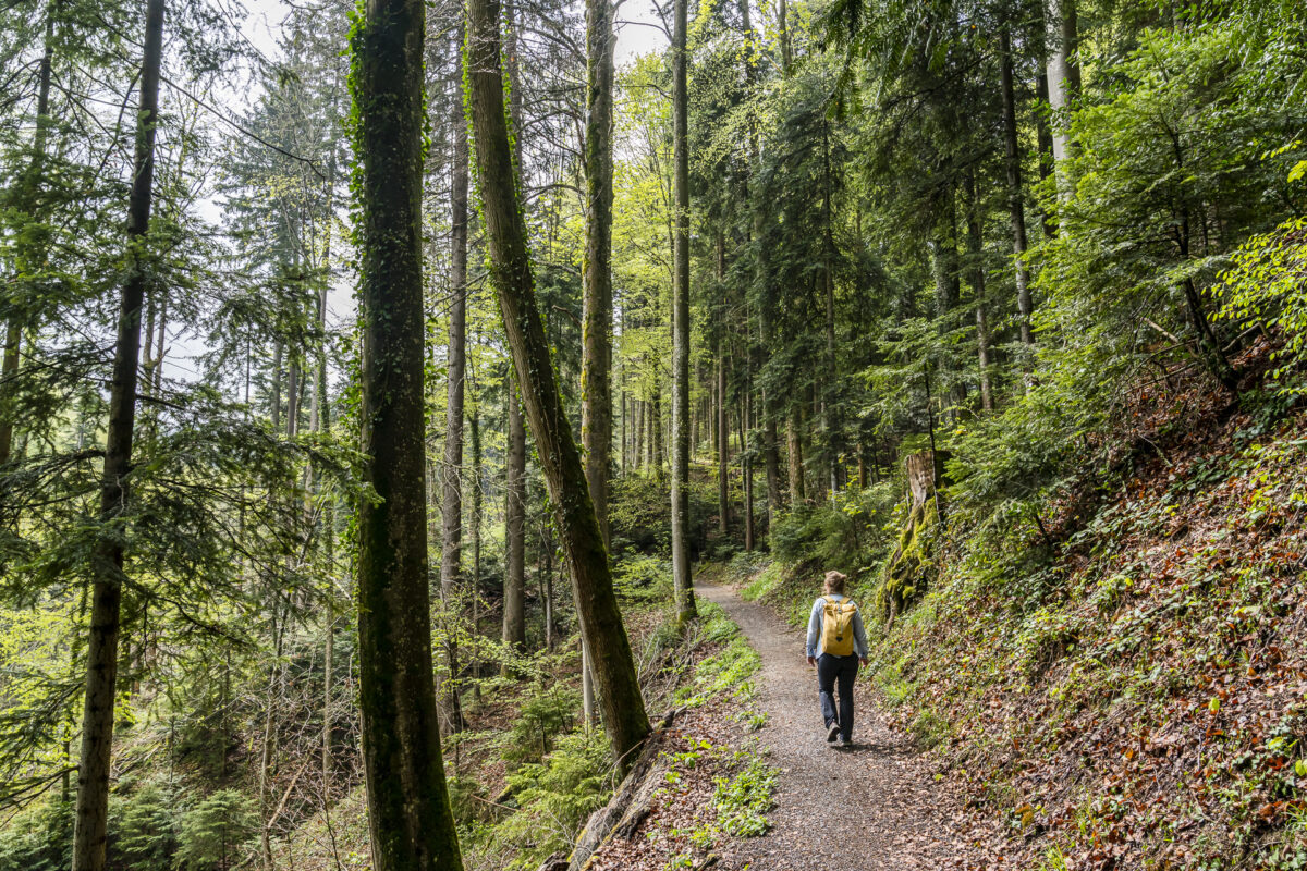 Witzweg Appenzell