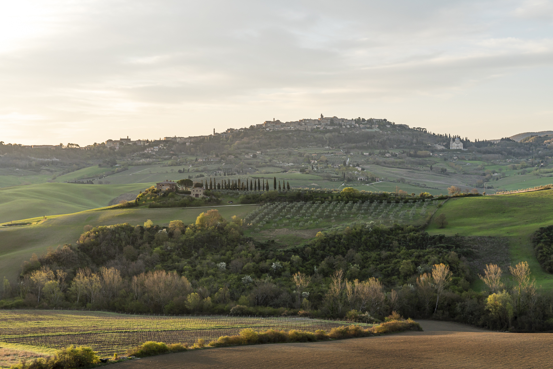 Lupaia Panorama