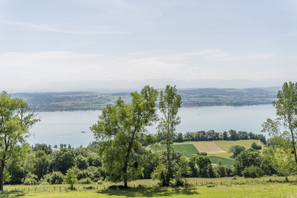 Mont Vully Panorama