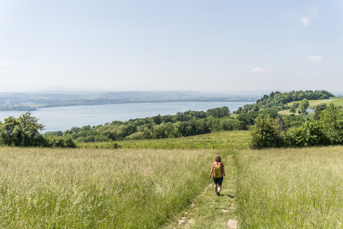 Wanderung Mont Vully