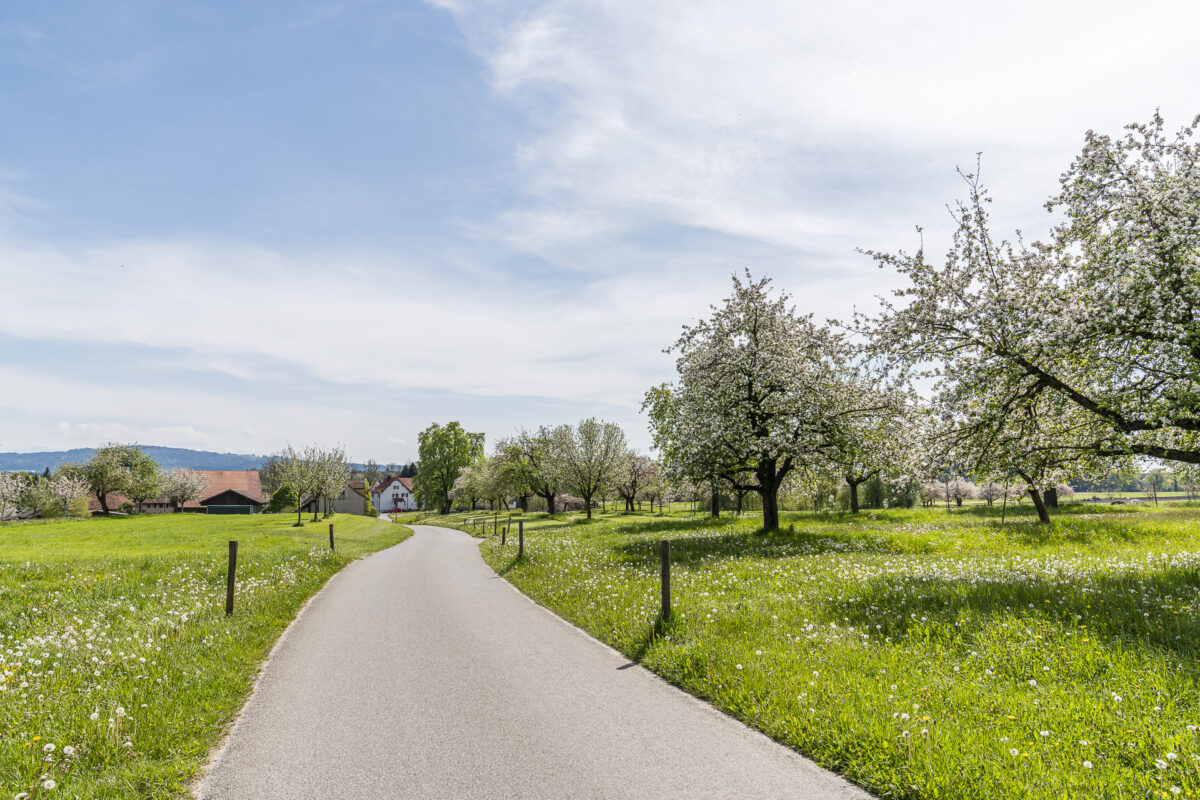 Velotour Thurgau