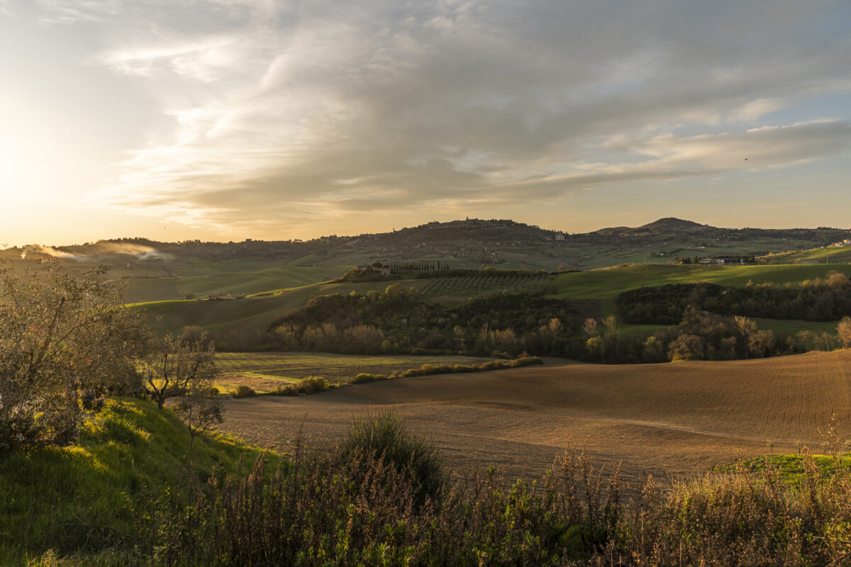 Aussicht Panoramastrasse Val d'Orcia SP 146