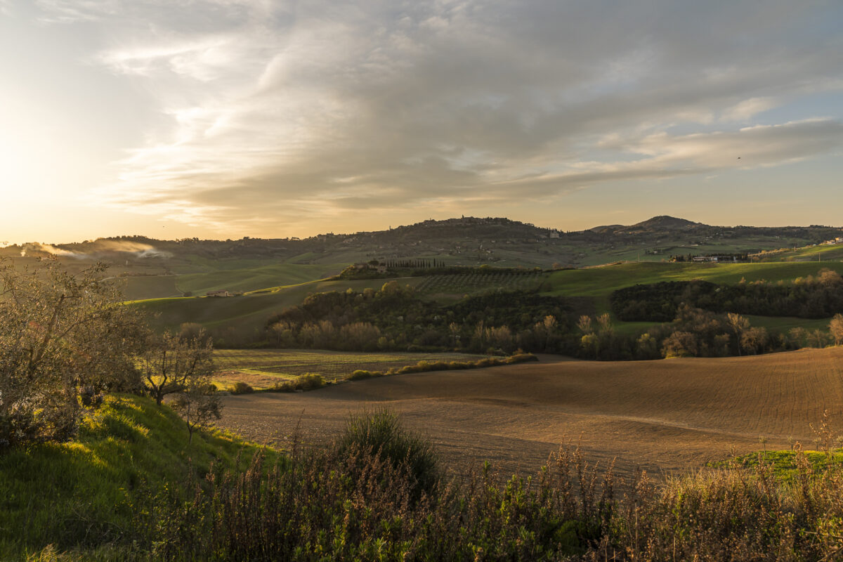 Aussicht Panoramastrasse SP 146